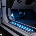 Car still door protector