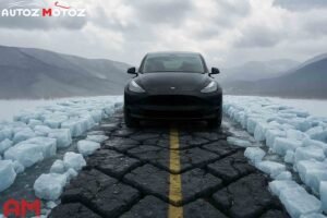 Tesla Model Y Autopilot King